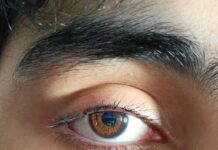 디지털 과부하 시대, ‘눈의 피로’가 신체와 마음에 남기는 보이지 않는 흔적 Close-up photo of a brown human eye.