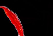 혈당의 역습, ‘무엇’을 먹느냐보다 ‘어떻게’ 먹느냐가 당신의 노화를 결정한다 red light on black background