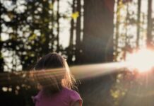 생활 속 ‘마음 챙김’ 실천, 바쁜 일상에 작은 쉼표를 더하다 girl sitting on daisy flowerbed in forest