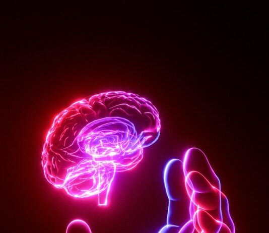 뇌 건강, 일상 속에서 챙기는 새로운 습관 A person's hand holding a glowing brain model