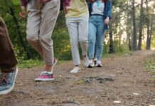 늘어나는 ‘걷기 챌린지’, 꾸준함이 만드는 건강한 변화 Group of people walking on a forest path