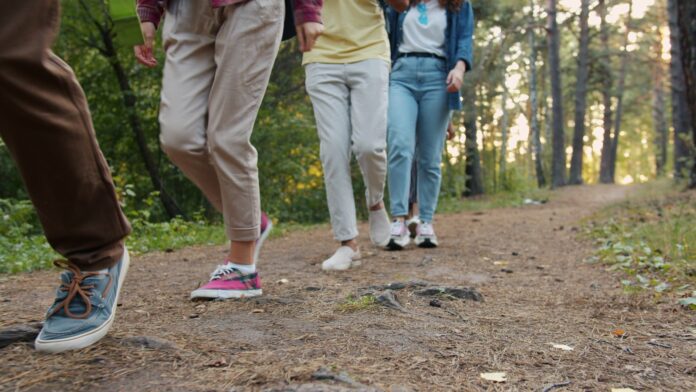 Photo by Vitaly Gariev Group of people walking on a forest path