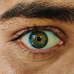 사무실 속 건강 지키기…똑똑한 직장인들의 실천법 persons blue eyes with blue eyes