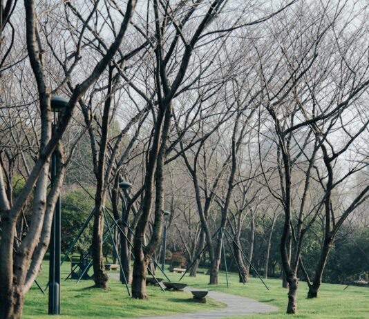 걷기 운동, 일상에서 더 똑똑하게 즐기기 – 건강 트렌드 실천법 A winding pathway through a green park.