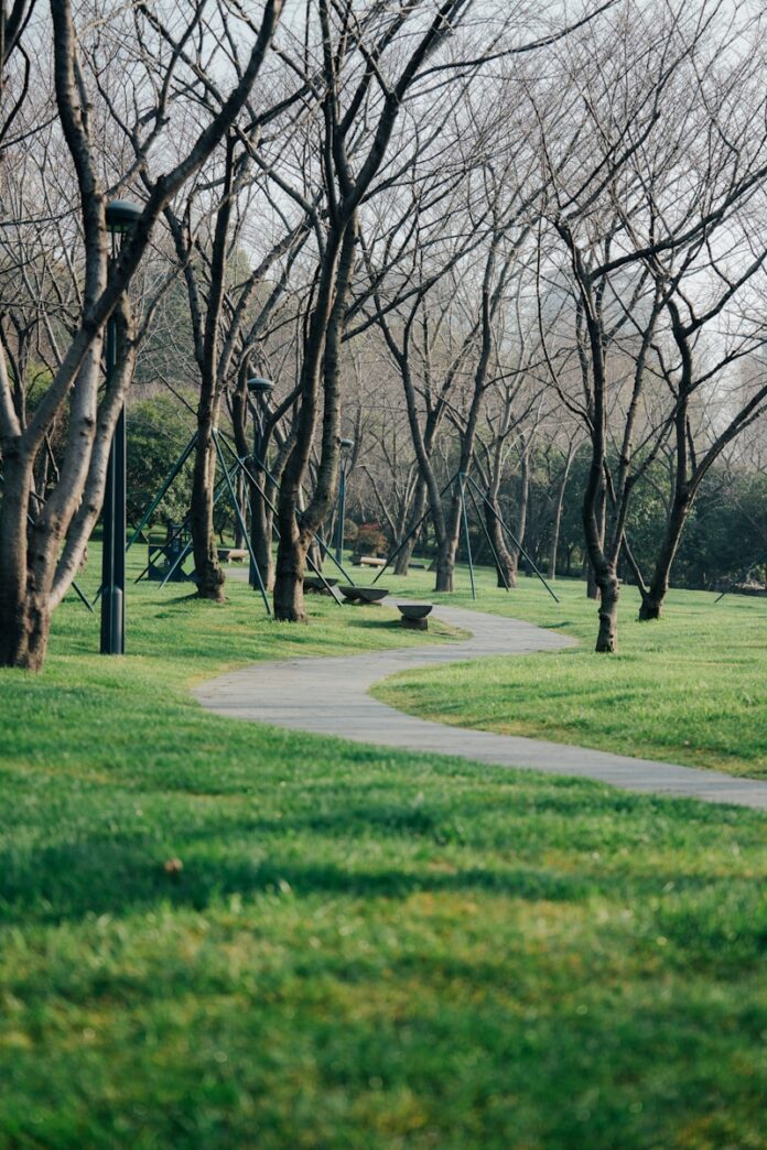 Photo by Jerry Wang A winding pathway through a green park.