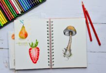 변하는 식단 트렌드, 건강을 지키는 나만의 식사법 찾기 white and red rose on white printer paper