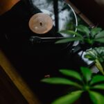 나만의 ‘슬로우 모닝 루틴’으로 하루를 여는 건강 트렌드 확산 black turntable on brown wooden table