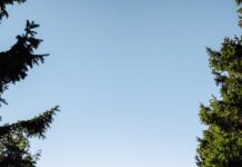 아침 햇살 10분, 바쁜 일상 속 ‘웰니스’ 트렌드로 주목 Framed view of rolling mountains and evergreen trees.