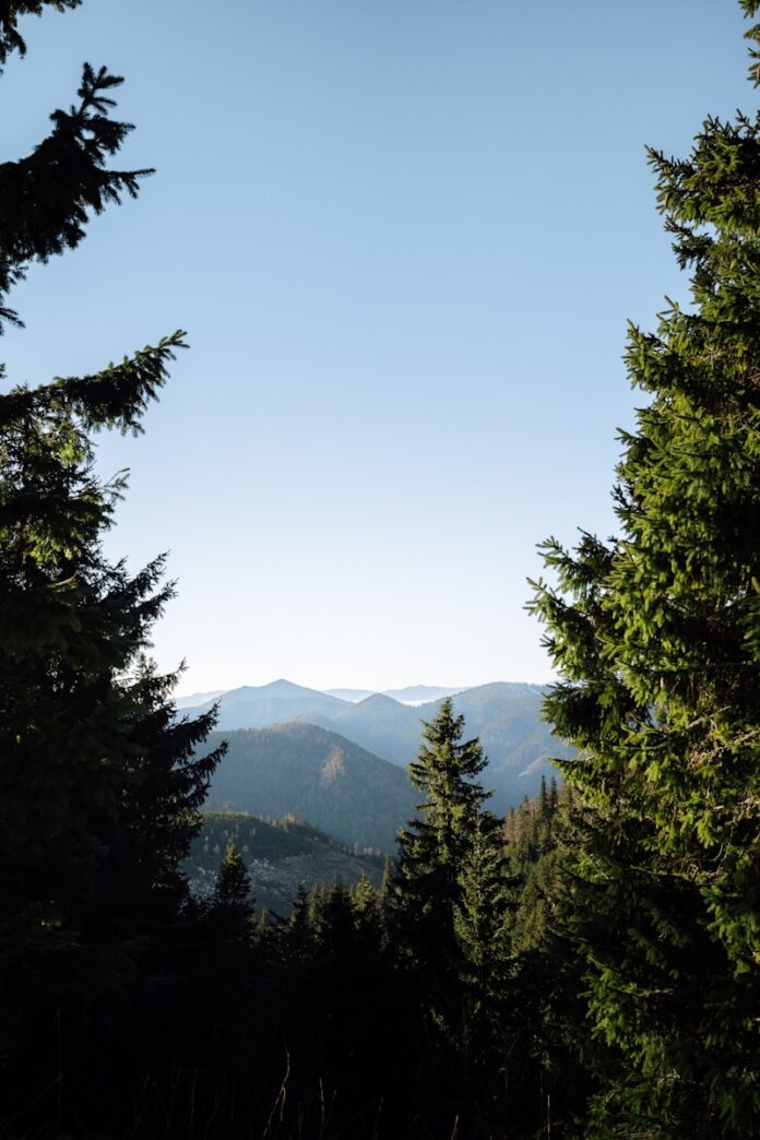 Framed view of rolling mountains and evergreen trees.