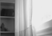 “운동은 쉬는 것까지가 운동이다”… 피로를 지우는 ‘액티브 리커버리’ cat lying on pet bed