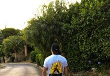 “작은 변화, 큰 여유”… 일상 속 스트레스 관리법 뜬다 man walking on road beside trees