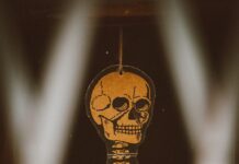 “엑스레이 한 장 찍었을 뿐인데…” AI가 당신의 ‘뼈 나이’를 읽어낸다 gold and black skeleton key