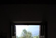 “마음 챙김에서 디지털 디톡스까지, 일상 속 정신건강 지키는 생활 루틴 주목” A window frames a lush green landscape.