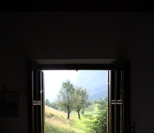 “스마트하게 챙기는 직장인 건강, 작은 실천이 만든다” A window frames a lush green landscape.