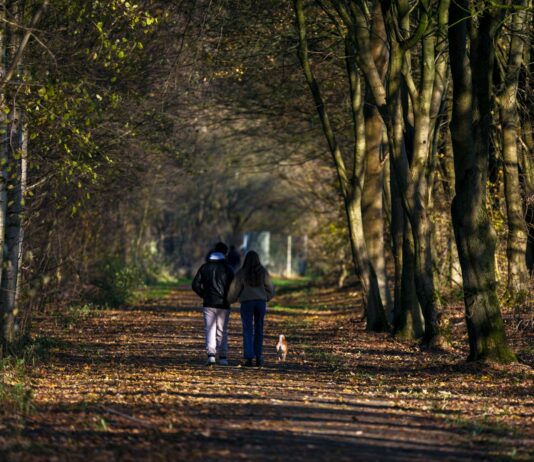 ‘스몰 챌린지’ 열풍, 작은 습관이 바꾸는 건강한 일상 Two people walking down a path in the woods