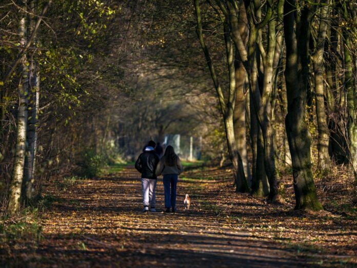 Two people walking down a path in the woods