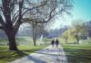 “책상 탈출” 건강 습관… 직장인의 새로운 라이프 트렌드 two people walking down a path in a park