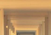 ‘마이크로 운동’이 바꾸는 우리의 하루, 짧고 자주 움직이기가 건강 열쇠 Woman walks down a sunlit colonnade hallway.