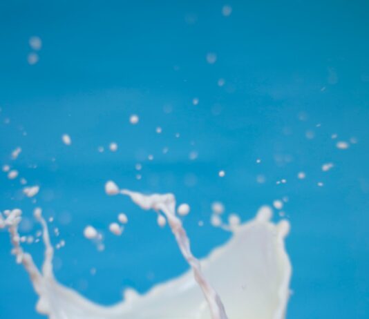 “설탕보다 무서운 액상과당의 배신”… 음료수 한 잔이 간을 병들게 한다 milk on yellow bowl