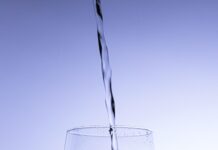 “나를 돌보는 작은 변화, 여성 건강 지키는 생활 습관이 뜬다” clear wine glass with water