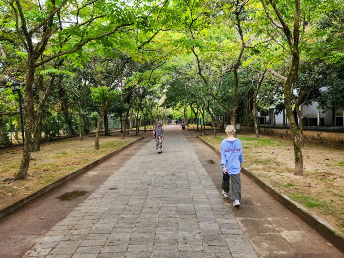 Two people walking down a path in a park