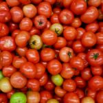바쁜 일상 속 지키는 여성 건강, 생활 속 작은 변화가 답이다 red and green tomato fruit