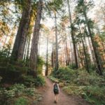 뇌건강, 일상에서 실천하는 새로운 루틴 woman walking near plants and tall trees during daytime