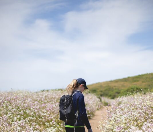 내 삶에 자연스럽게 스며드는 대체요법, 작은 실천으로 건강 챙기기 woman walking between flower fields