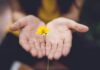 “내 뇌를 위한 작은 변화, 건강한 일상의 시작” selective focus photography of woman holding yellow petaled flowers
