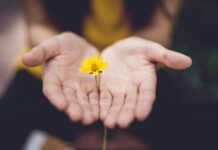 “내 뇌를 위한 작은 변화, 건강한 일상의 시작” selective focus photography of woman holding yellow petaled flowers