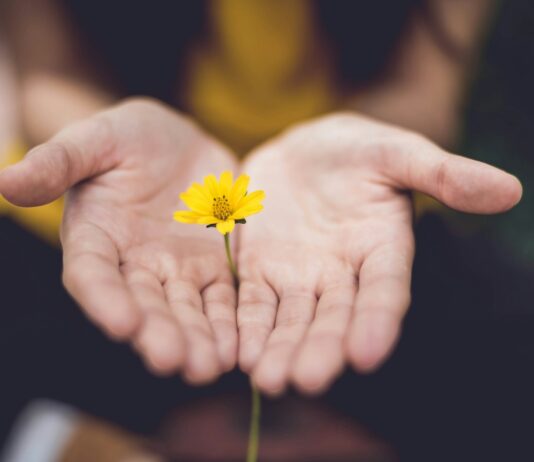현대인의 건강을 위한 ‘마음 챙기기’ 루틴, 일상 속 작은 변화로 시작하세요 selective focus photography of woman holding yellow petaled flowers