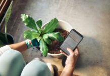 MZ세대도 주목하는 ‘걷기 루틴’…쉽게 실천하는 건강 습관법 Person planting a houseplant and checking phone