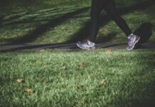 “일상 속 ‘마음챙김 산책’, 스트레스 해소와 행복감 높이는 건강 트렌드로 인기” shallow focus photography of person walking on road between grass