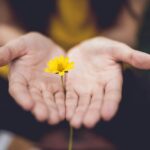 ‘마음챙김 걷기’, 일상 속 스트레스 해소법으로 주목 selective focus photography of woman holding yellow petaled flowers
