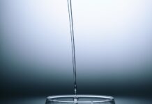 바쁜 일상 속 건강 챙기기, 직장인을 위한 실천 가능한 습관 clear drinking glass on gray surface