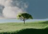 ‘마음챙김’ 라이프 스타일, 스트레스 관리와 건강 증진에 도움 A single tree on a vibrant green rolling hill.