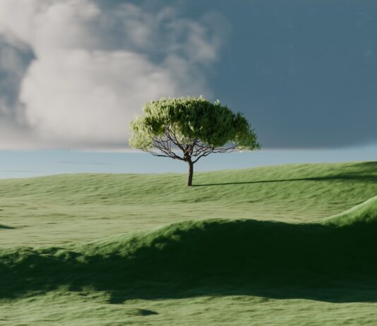 생활 속 ‘마음 챙김’ 실천, 바쁜 일상에도 가능한 건강 습관 A single tree on a vibrant green rolling hill.