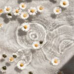일상에서 실천하는 현대 웰니스, 건강한 삶을 위한 새로운 출발점 white and blue floral textile