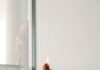 늘어나는 대체요법 관심…생활 속 건강 관리법으로 자리 잡나 person holding orange flower in front of white wall