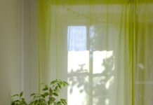 일상 속에서 만나는 웰니스 문화, 새로운 건강 트렌드와 실천 팁 green plant near white window curtain