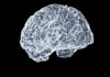“디지털 시대의 필수 관리, 뇌건강을 지키는 스마트 라이프스타일 전략” a close up of a human brain on a black background