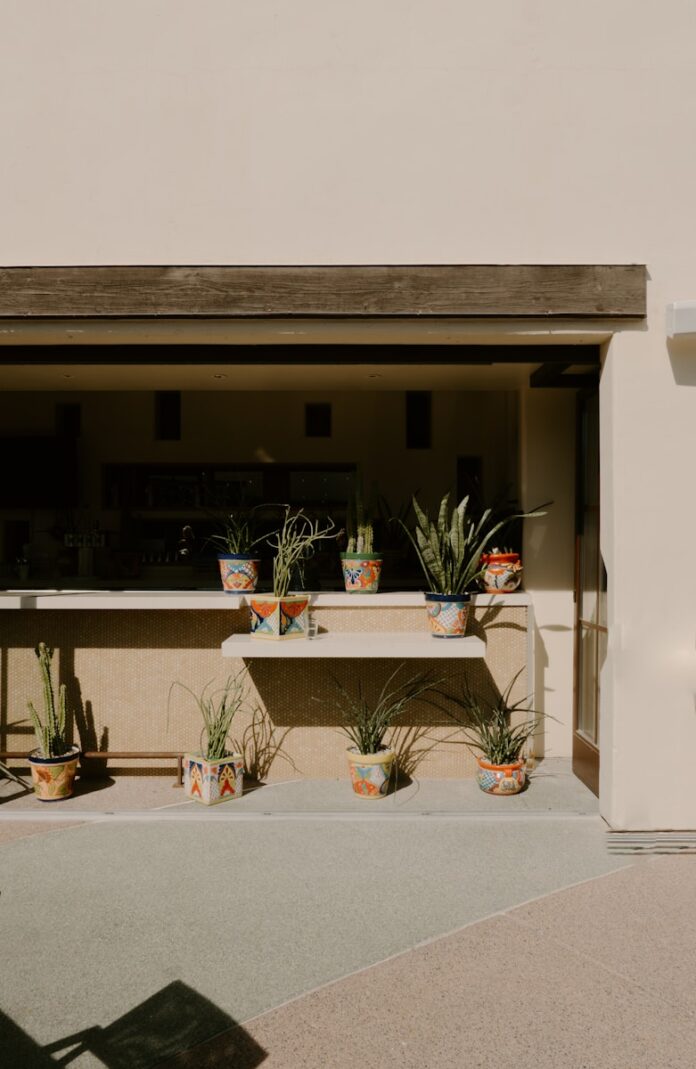 Colorful potted plants on a shelf and ground outdoors.