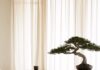 숙면이 건강을 부른다…한국형 ‘슬기로운 수면생활’ 실천법 주목 A bedroom with a bed and a bonsai tree