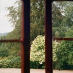 스마트폰 없이 보내는 하루, 디지털 디톡스 실천법 인기 A view through an open window of a garden with a flowering white bush