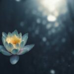 집에서도 쉽게 따라하는 마인드풀니스: 생활 속 잠깐의 ‘멍’이 주는 건강 효과 selective focus photography of green succulent plant