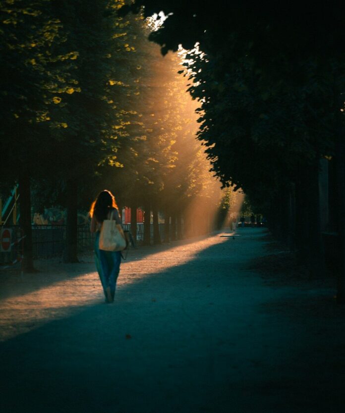 A person with long hair walking down a tree-lined path in golden light